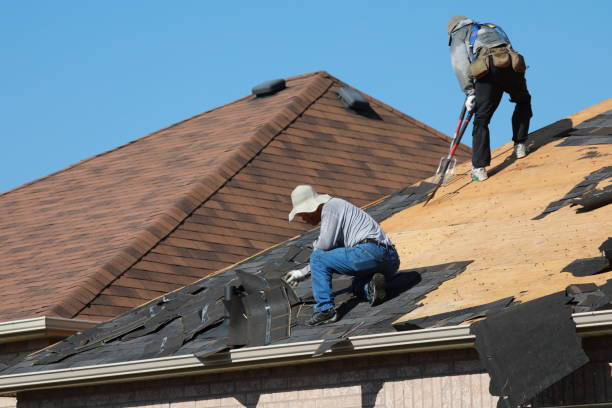 Best Roof Maintenance and Cleaning  in Prieville, NC